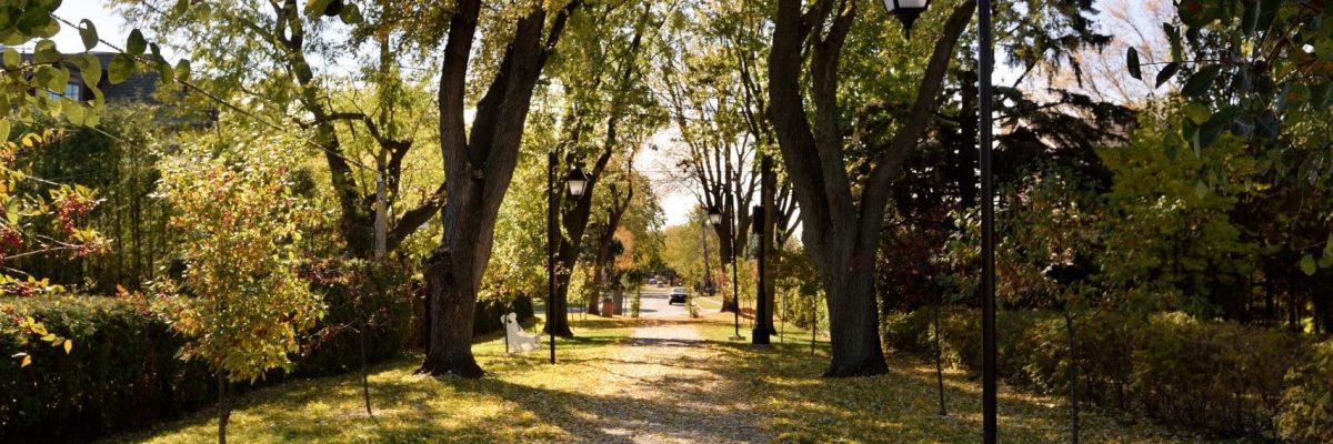Hampstead - banc et divers on October 26, 2018.Denis Beaumont